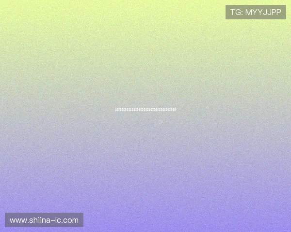 世界杯土耳其对阵美国比赛阵型全面分析与战术亮点解析